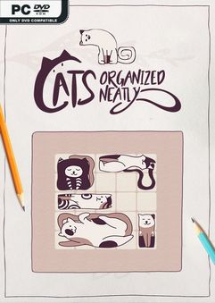 Cats Organized Neatly Build 20381198